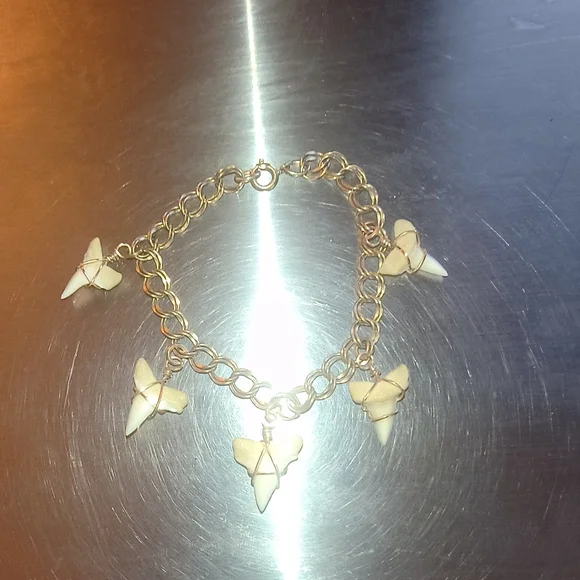 Fossilized Shark Tooth Charm Bracelet - Picture 1 of 4